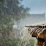 image-228533-1756275412